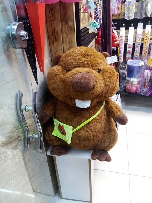 اکسسوری مو وعروسک وبدلیجات
