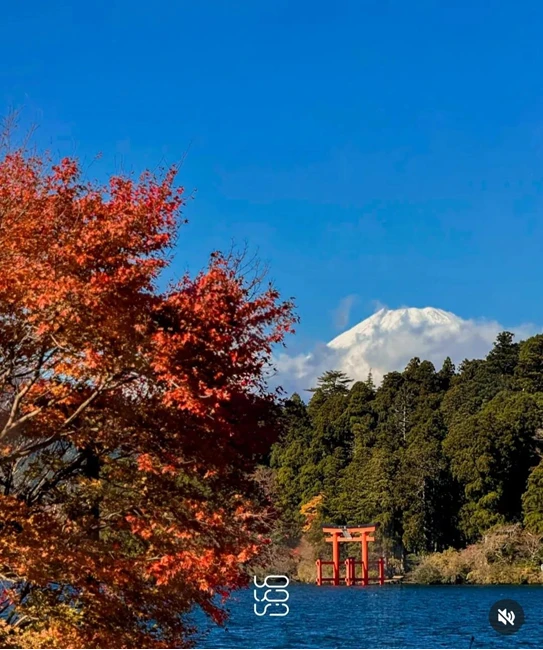 آژانس مسافرتی ماجرازی