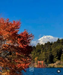 آژانس مسافرتی ماجرازی