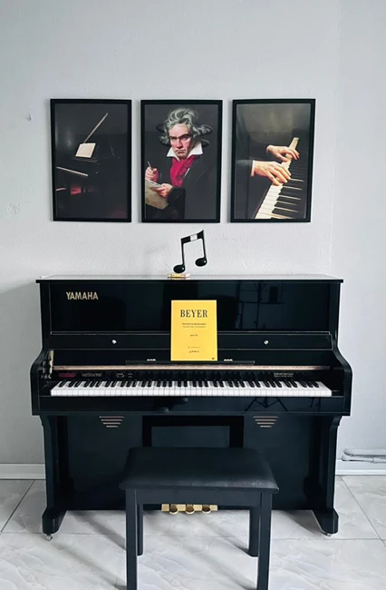 آموزشگاه موسیقی نوای چنگ 