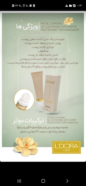 نماینده رسمی شرکت پنبه ریز