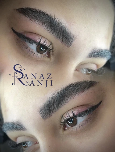 میکروبلیدینگ حرفه ای - تخصصی در تبریز