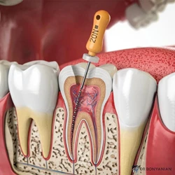 دندانپزشکی دکتر بنیانیان