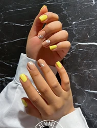 مجموعه زیبایی صدف المعی