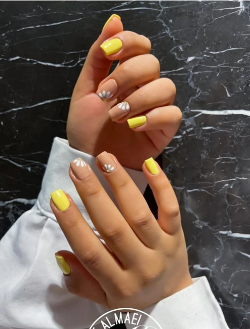 مجموعه زیبایی صدف المعی