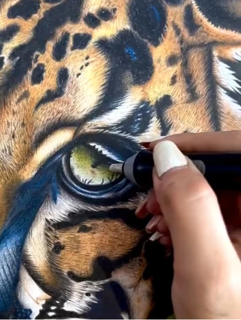 آموزشگاه نقاشی فرانک نعمت پور