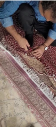 قالیشویی بیستون