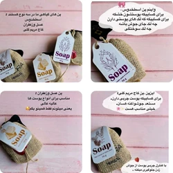 نمایندگی رسمی شرکت پنبه ریز