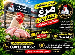 تامین مرغ کشتار روز به قیمت کشتارگاه