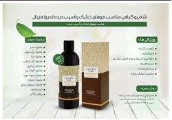 نمایندگی رسمی شرکت پنبه ریز در ایلخچی
