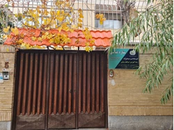 خدمات تخصصی میکرو ابرو و شیدینگ لب
