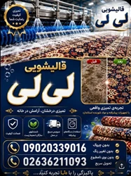 قالی شویی ومبل شویی لی لی