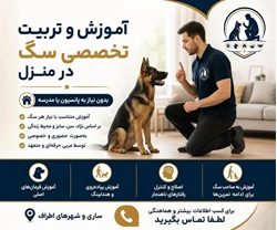 مربی سگ در ساری / تربیت سگ در مازندران