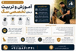 مربی سگ در ساری / تربیت سگ در مازندران