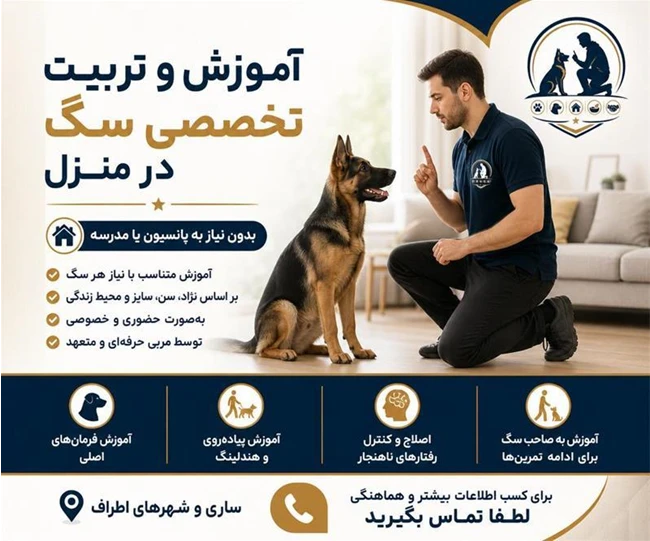 مربی سگ در ساری / تربیت سگ در مازندران