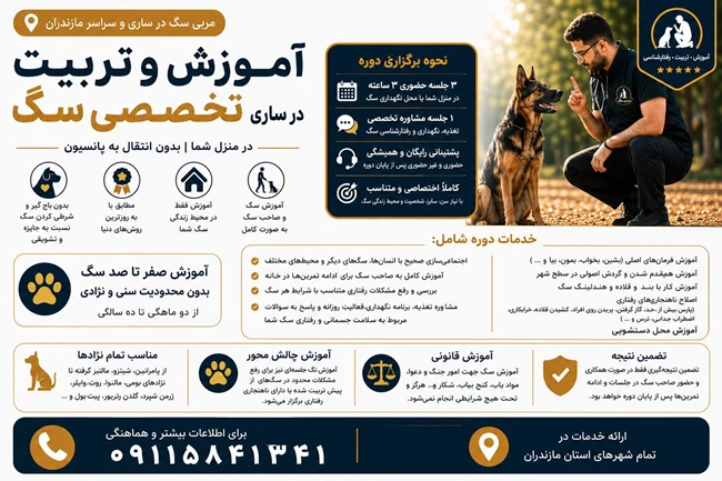 مربی سگ در ساری / تربیت سگ در مازندران