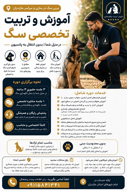 مربی سگ در ساری / تربیت سگ در مازندران