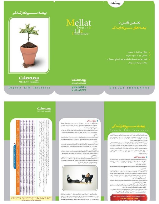نماینده تخصصی بیمه عمر ملت 