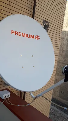 𝙖𝙡𝙞𝙬.𝙚𝙛